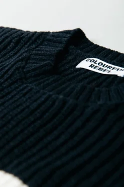 Fashion Colourful Rebel Alba Stripe Knit | Black/white