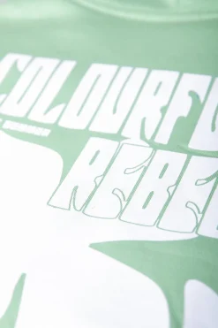 Discount Colourful Rebel Flower Hoodie | Soft Green Softgreen