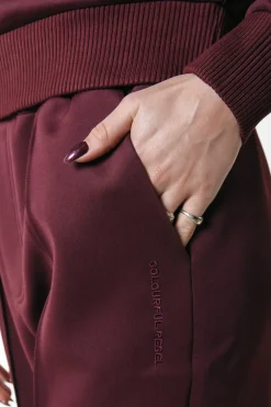 Hot Colourful Rebel Jiby Pintuck Pants | Port Red Portred