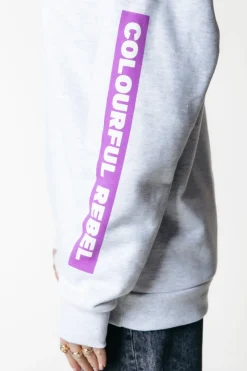 Fashion Colourful Rebel Sleeve Logo Hoodie | Light grey melange Lightgreymelange