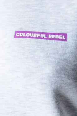 Fashion Colourful Rebel Sleeve Logo Hoodie | Light grey melange Lightgreymelange
