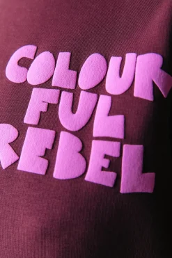 Fashion Colourful Rebel Wave Logo Sweat | Port Red Portred