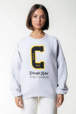 Hot Colourful Rebel World Champions Sweat | Light grey melange Lightgreymelange